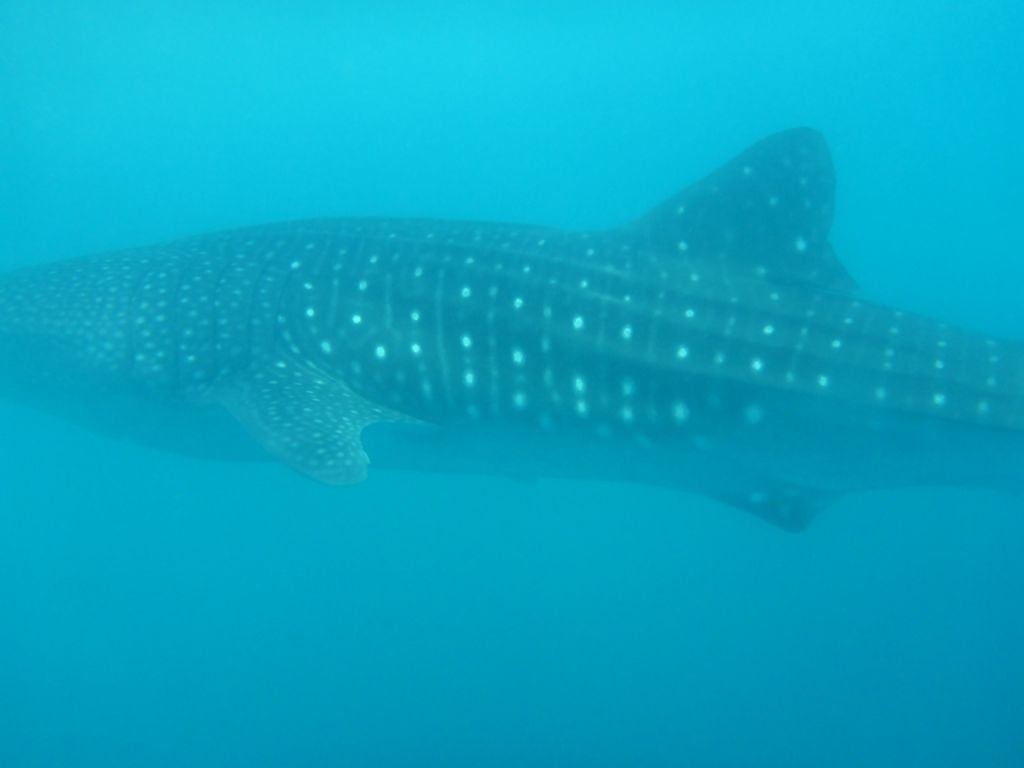 48ab9a02-1d94-4f8c-a634-ec0864449ef7