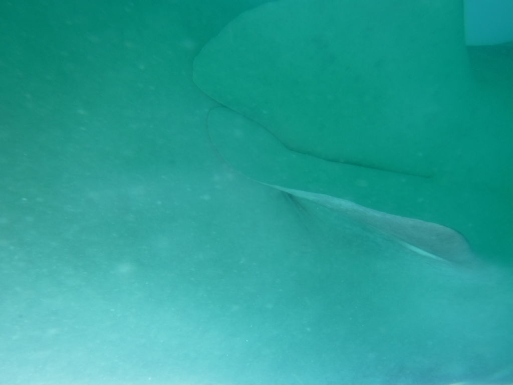 11efd23f-7aea-4980-9bf0-1beb35ac3349