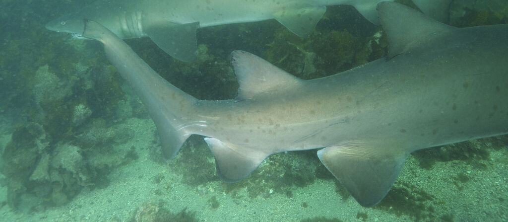 47f845bf-6629-4e45-963f-621e4a6c8664