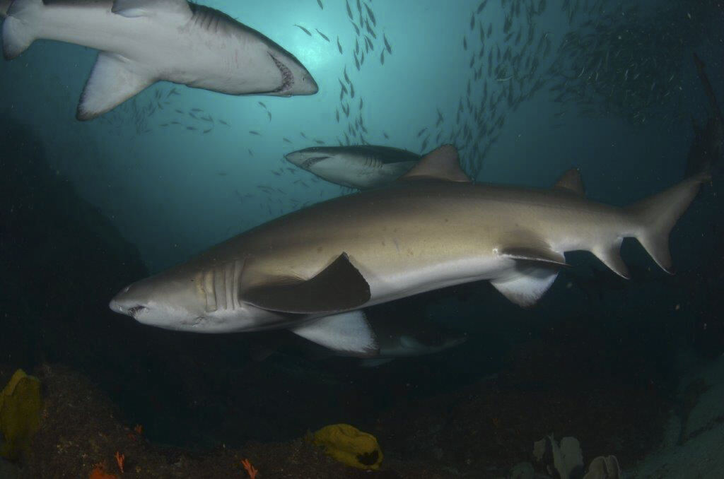 63205406-2151-4c08-9629-ba2507f53f3f