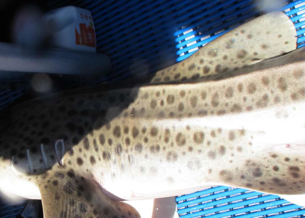 50e4d26c-e12c-4c73-a32e-dd5addc1b9d5