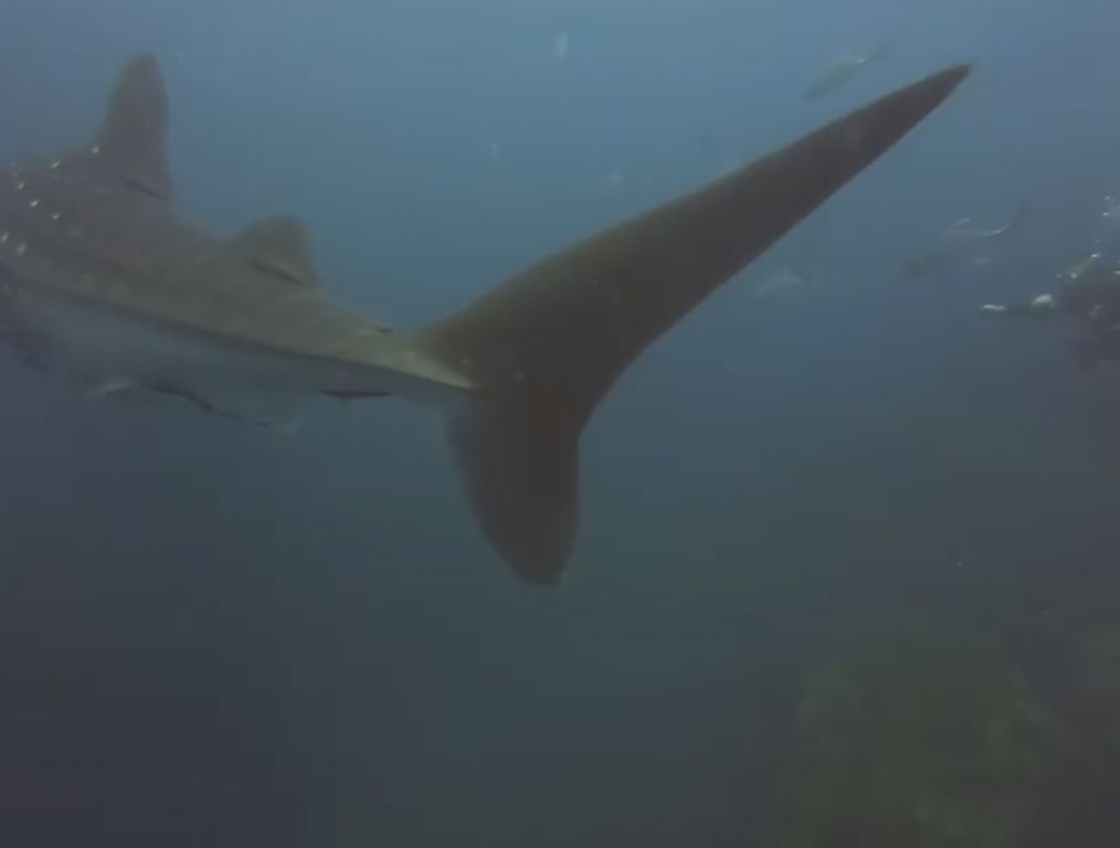 3d2fa45e-383f-4bc6-bb77-85a34561a937