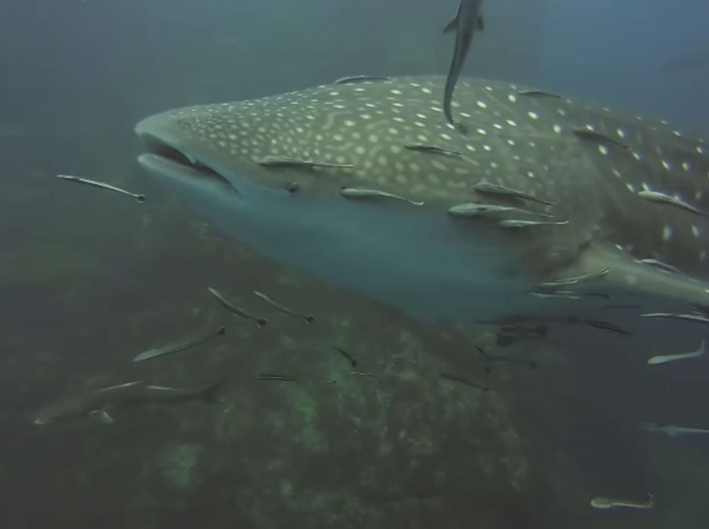 3d2fa45e-383f-4bc6-bb77-85a34561a937