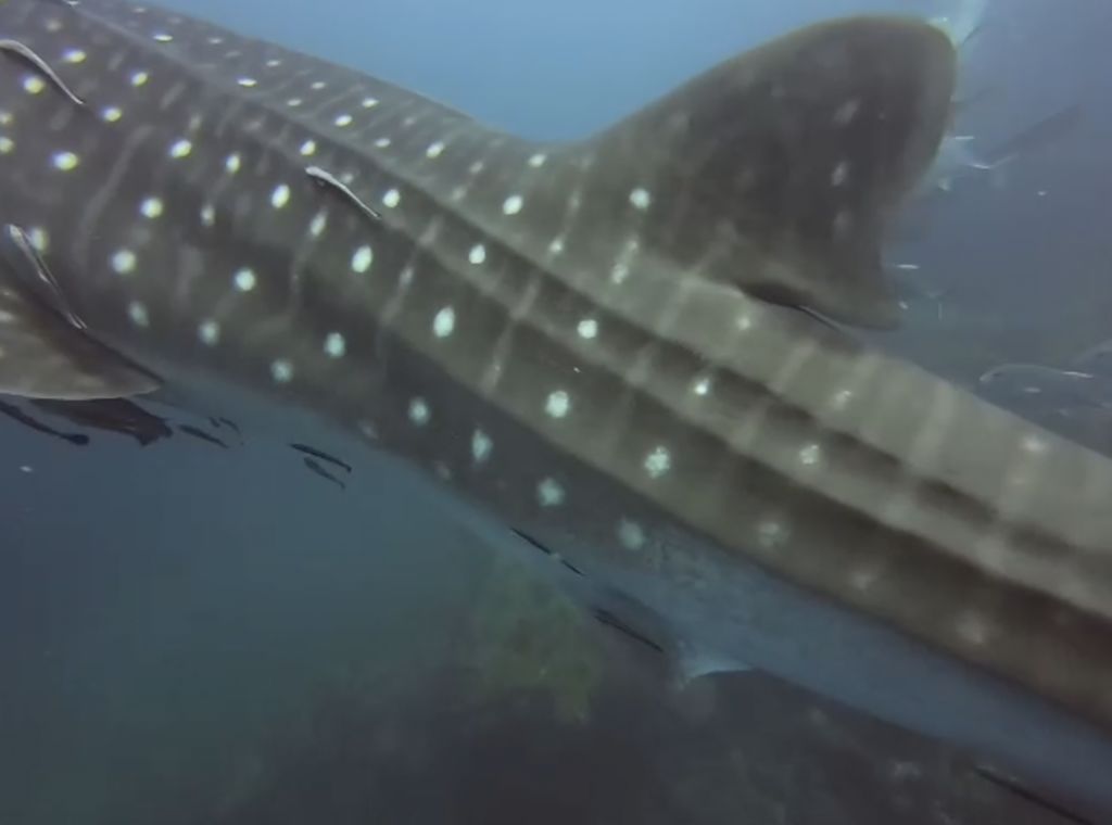 3d2fa45e-383f-4bc6-bb77-85a34561a937