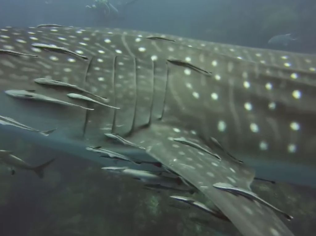 3d2fa45e-383f-4bc6-bb77-85a34561a937