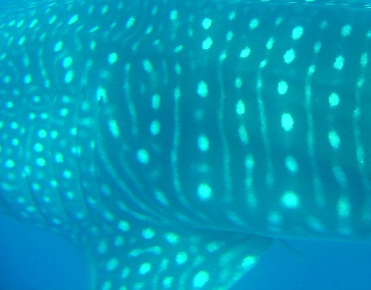 73af55bd-70ac-4218-a210-ceabf3f93f78