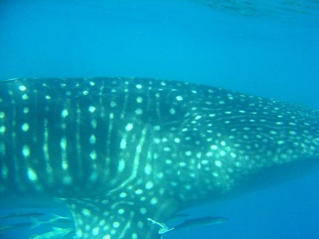 73af55bd-70ac-4218-a210-ceabf3f93f78