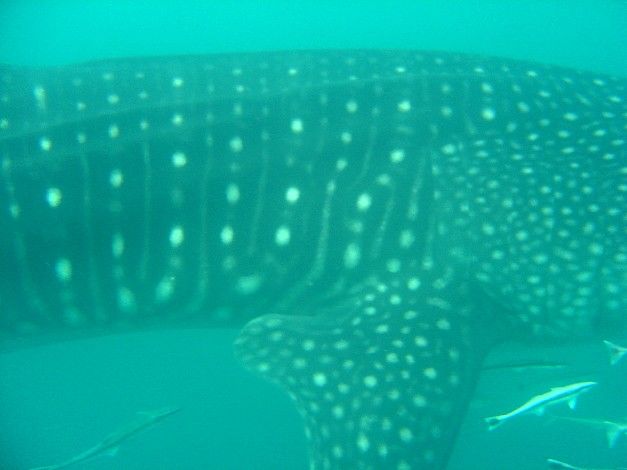 7eabfe2d-7fac-4a3c-96a7-3e5b47657e40