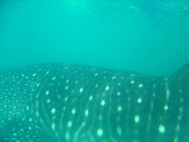 7eabfe2d-7fac-4a3c-96a7-3e5b47657e40