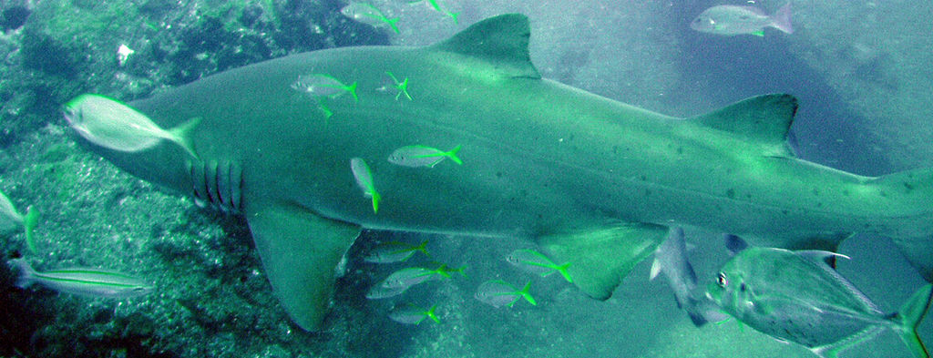 2bac3999-c458-4b7d-9b0c-4146d8d83fca