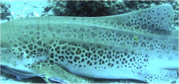 d81d38b5-1571-4844-a8f6-b479c6058481