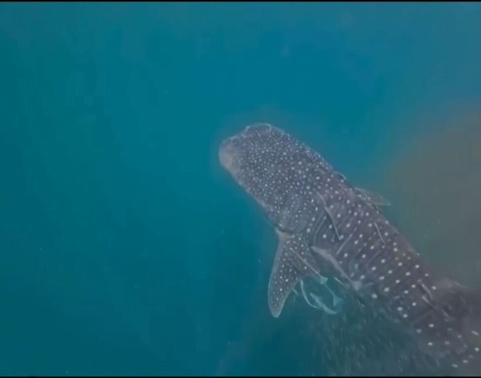 8d6db64c-9ca4-4b4f-9ff5-4885ec684eb6