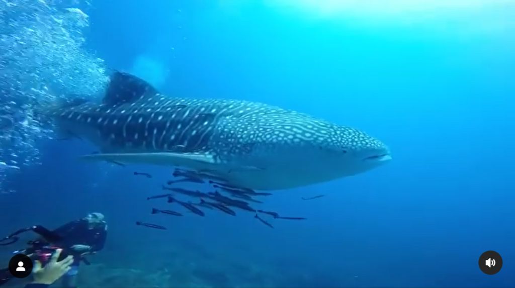 c4a49459-f0f8-4092-8845-4de29a5bad5a