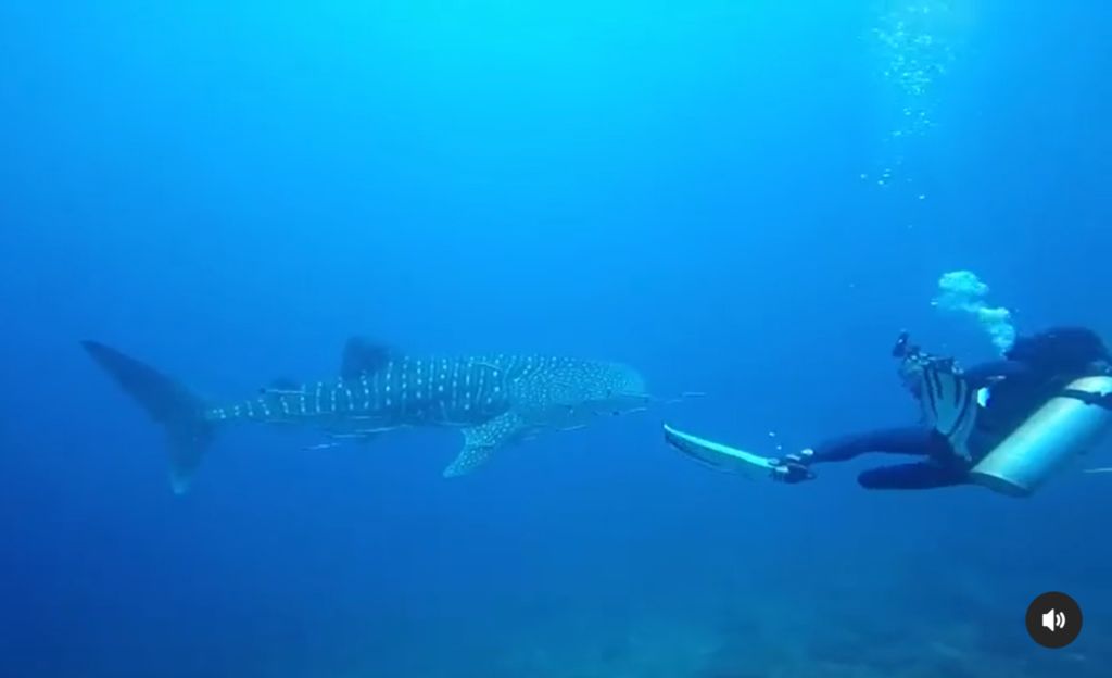 c4a49459-f0f8-4092-8845-4de29a5bad5a