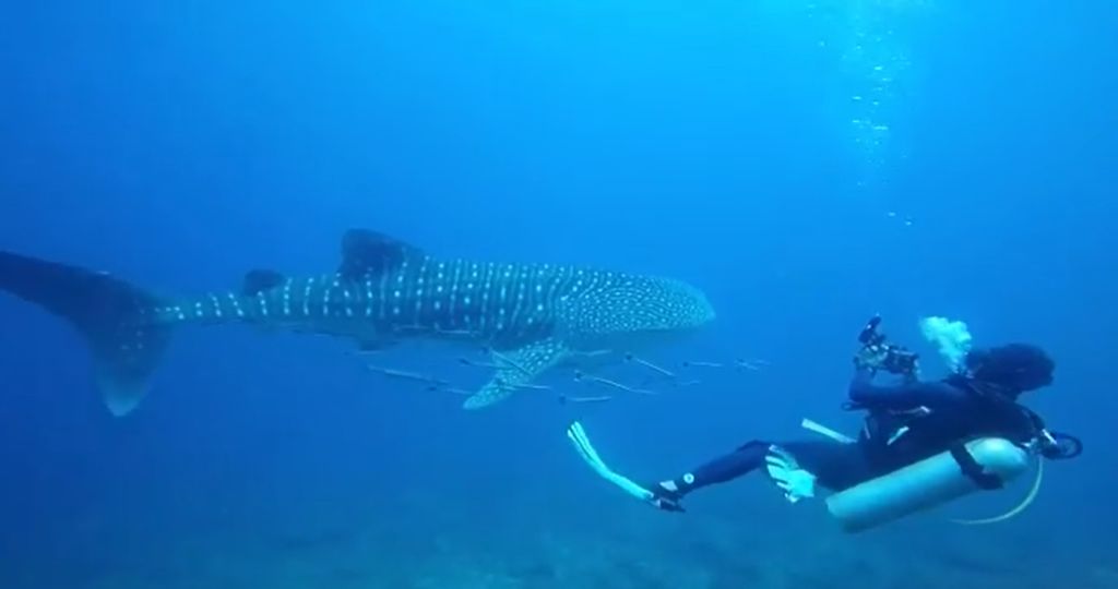 c4a49459-f0f8-4092-8845-4de29a5bad5a