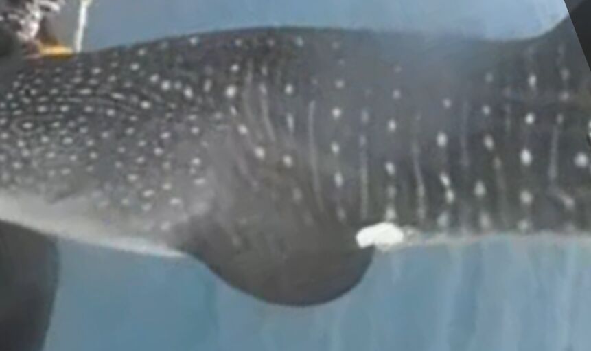 5d2f8daa-e2db-4270-a7ce-ac990dd62508