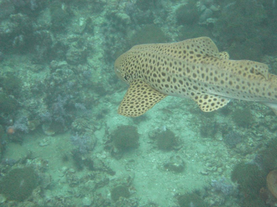 20e5e281-5d03-4eaf-b5e3-1bf99fed5272