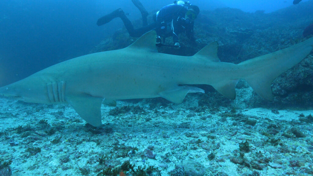 0deefaed-8da8-43a0-b047-4b0bf9401a92