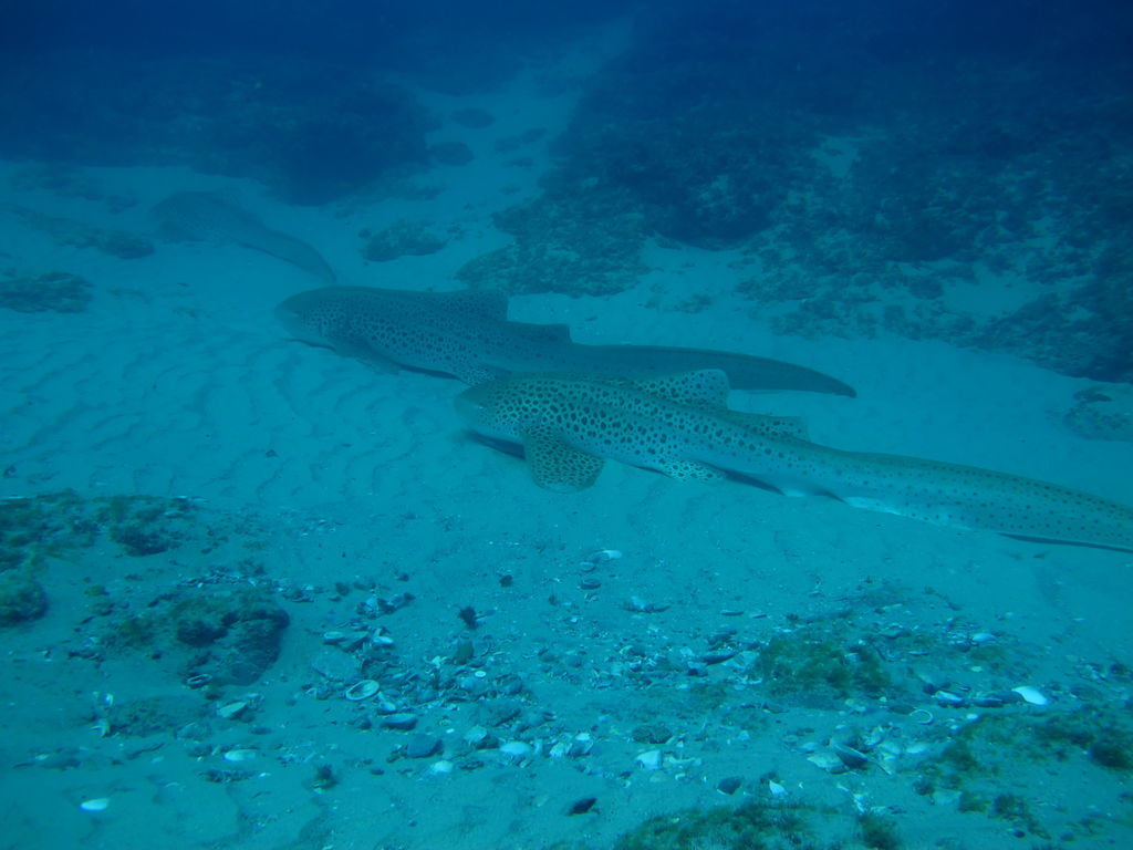 3bab8ac7-1acc-49d7-9ede-22843324fd67