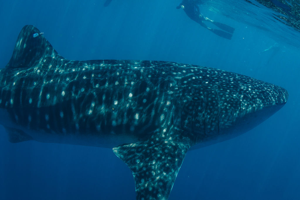 3ad6a165-20ac-4ae9-b6f8-db57d28236e4