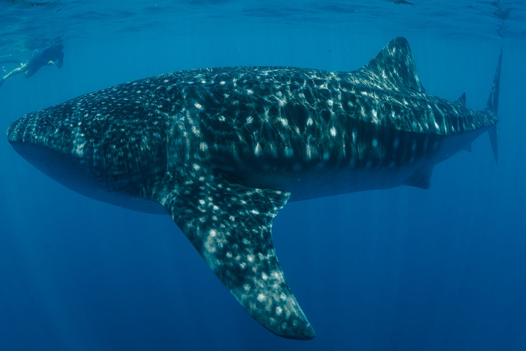 3ad6a165-20ac-4ae9-b6f8-db57d28236e4