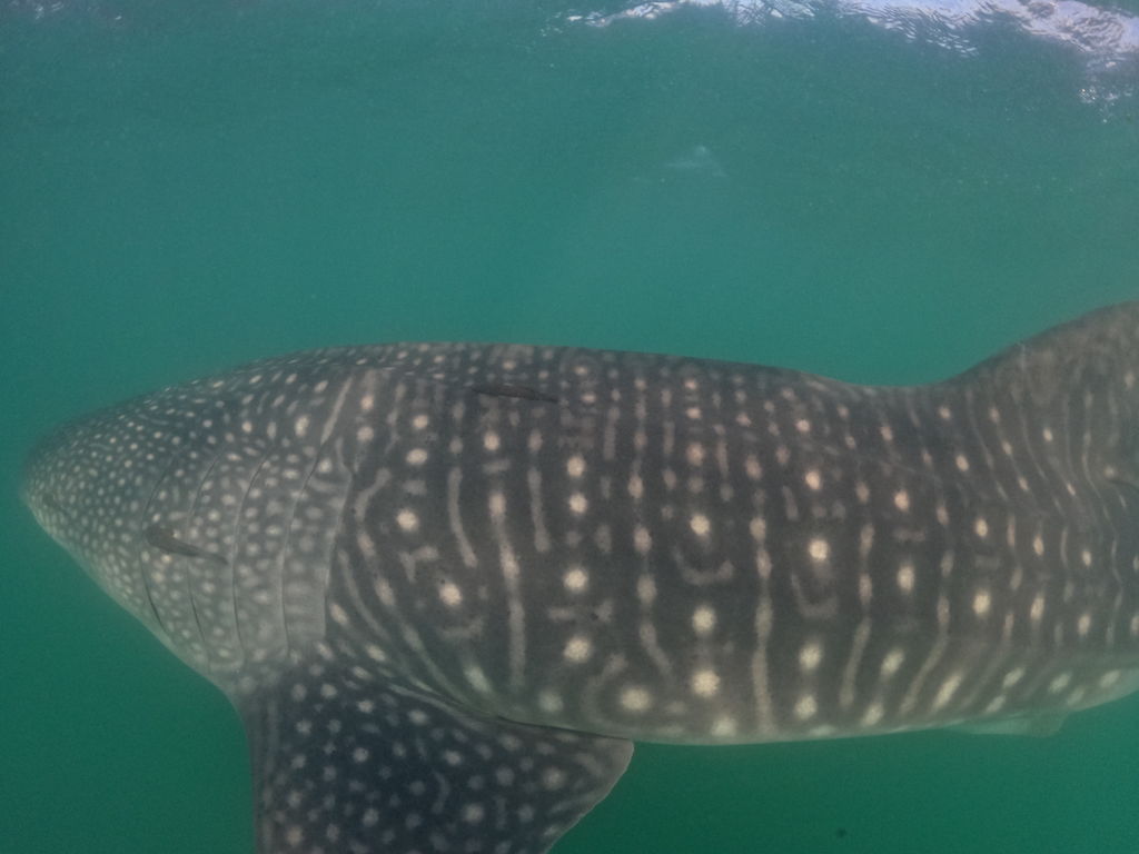 907a3e48-df3b-4c16-b215-cd3824132a70