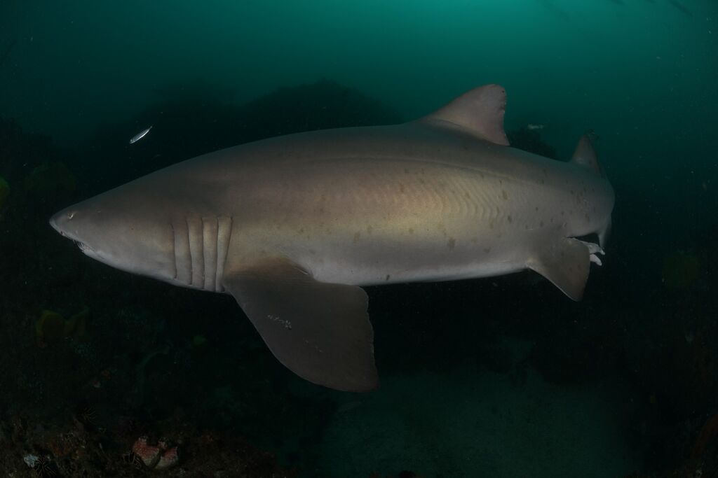 d61f44bf-3765-4891-9953-c02997e75b87