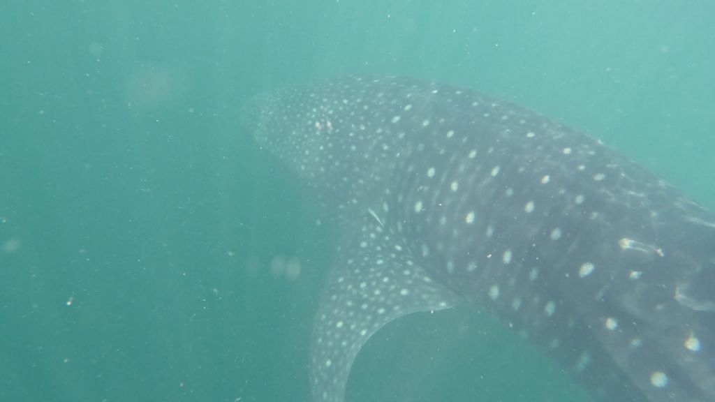 a3c91c57-ea43-466f-88fa-e47061acce40