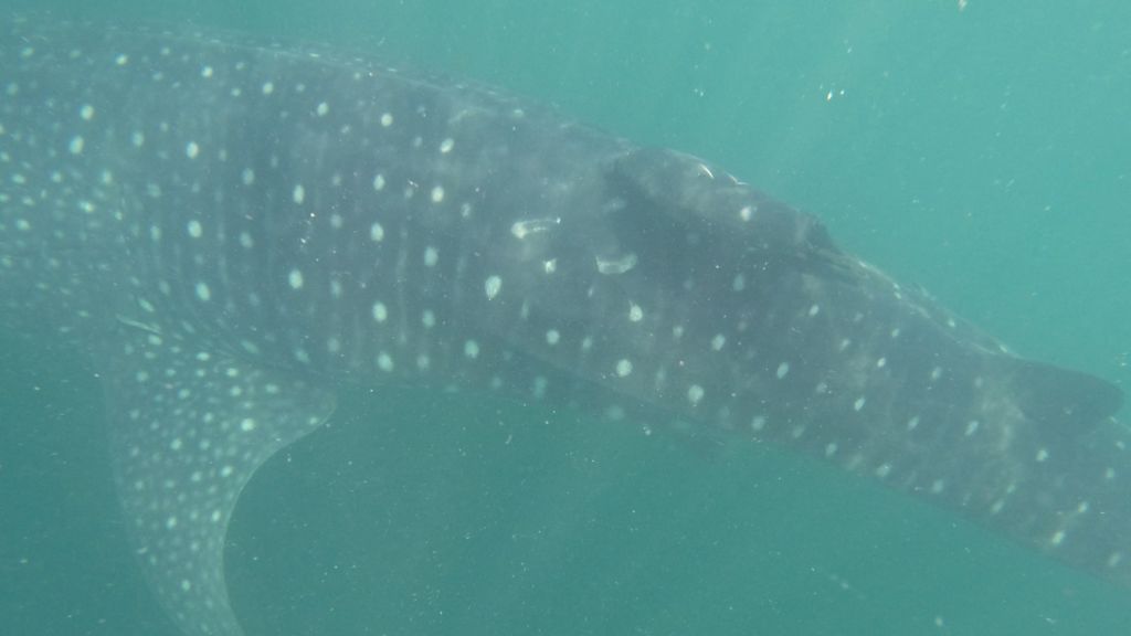 a3c91c57-ea43-466f-88fa-e47061acce40