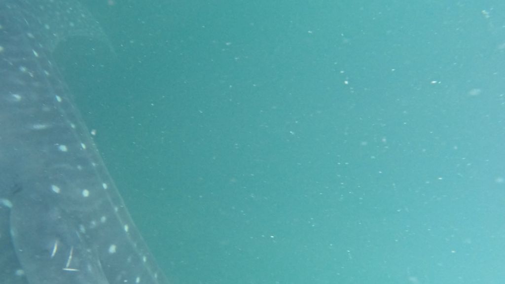 a3c91c57-ea43-466f-88fa-e47061acce40