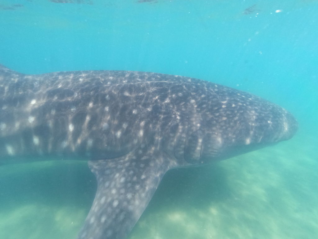 e0308227-7129-4f07-a2e7-044a12f63678