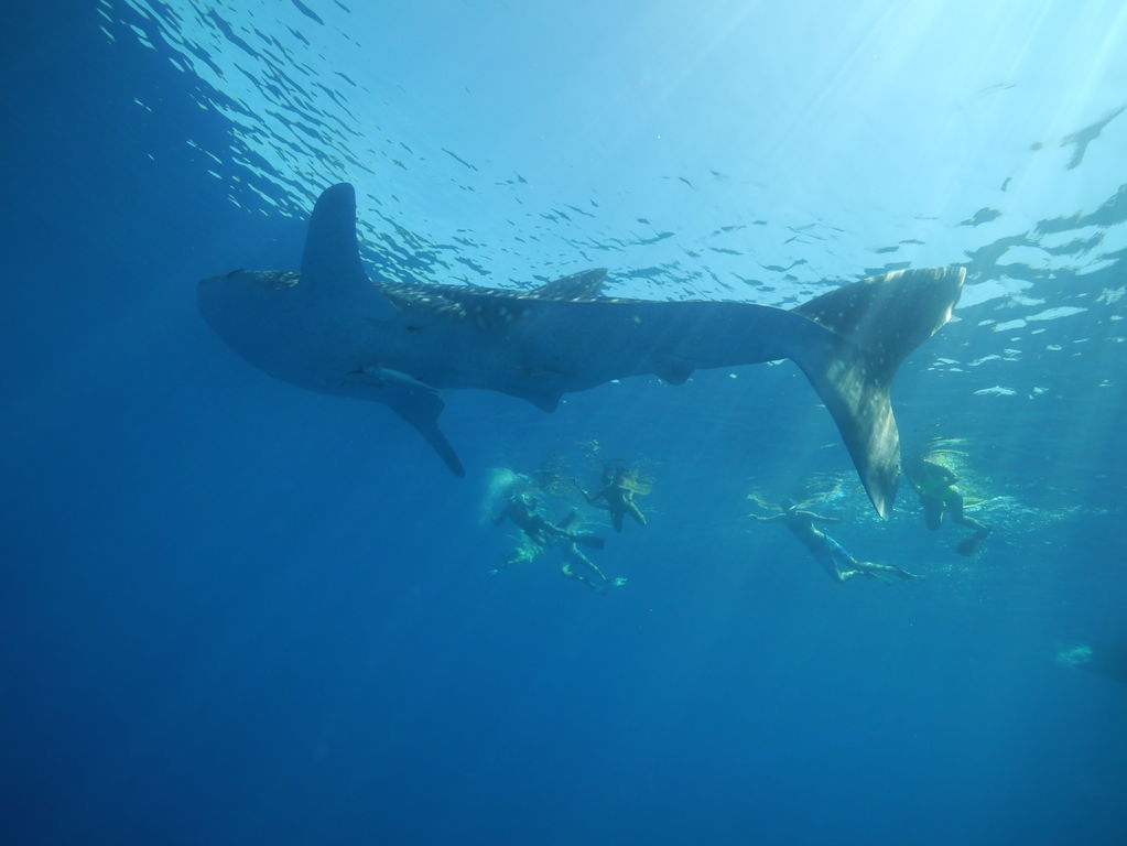 6382f685-fa12-4833-90d0-294c65b61b3d