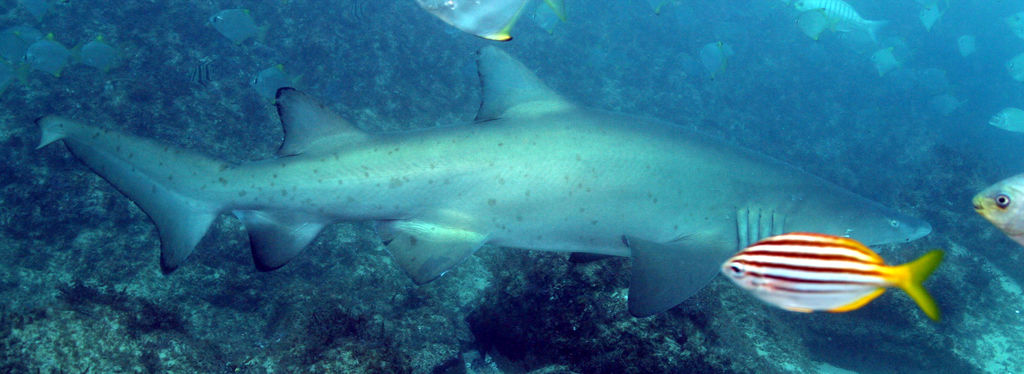 ebd5d8d7-6bbe-4cb6-81b8-cac58d54dee4