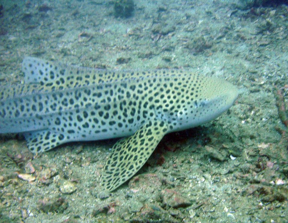 887c765b-f474-464e-813b-1d2ce484b154