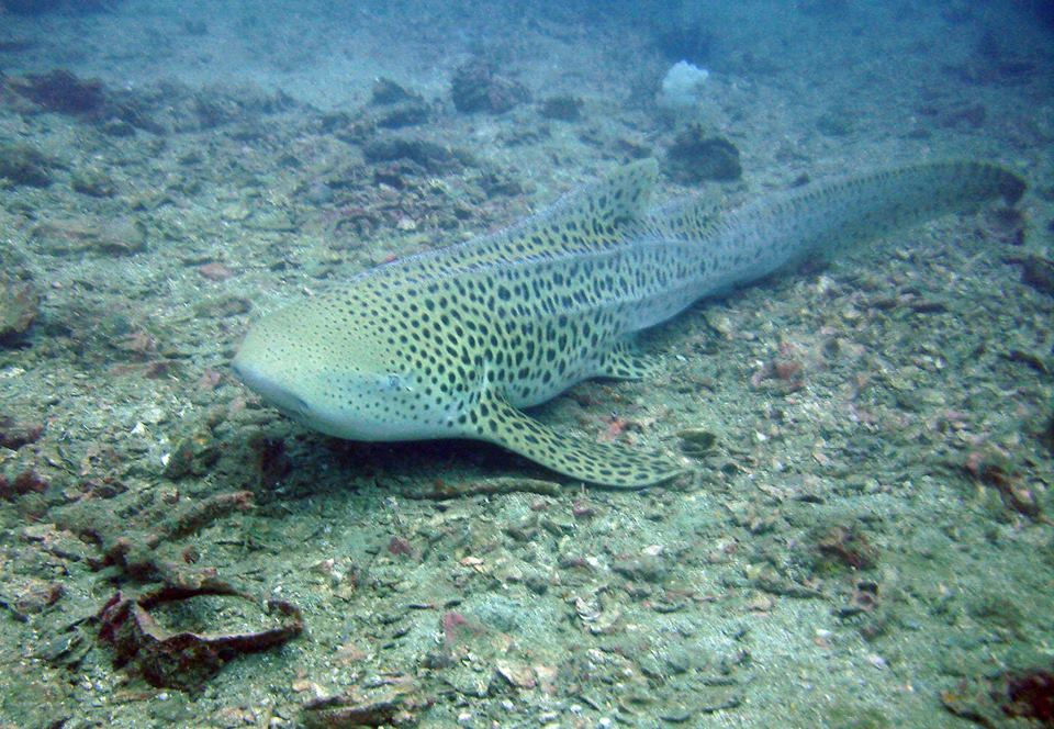 887c765b-f474-464e-813b-1d2ce484b154