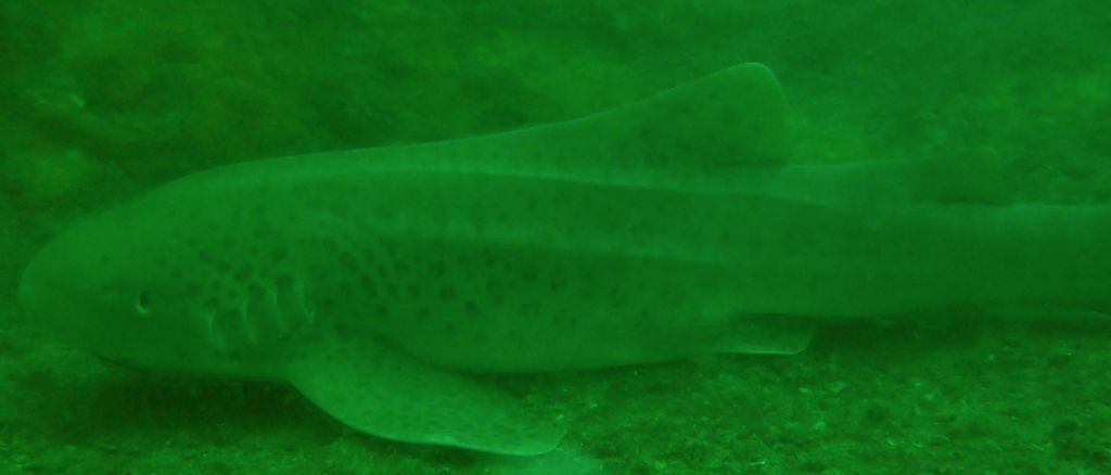 31ceab65-b7a3-467e-a7c8-7e9505bf06f3