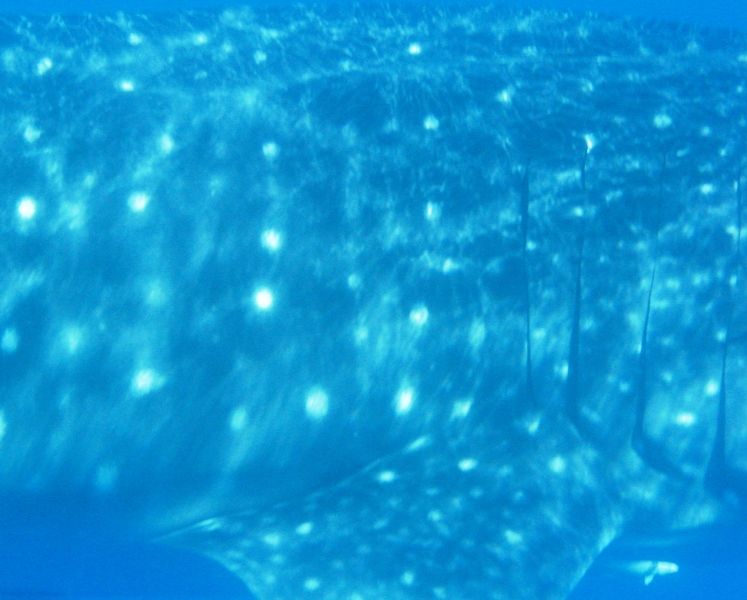 f0976835-cd14-4fe0-9ab4-fe1e23198e1d