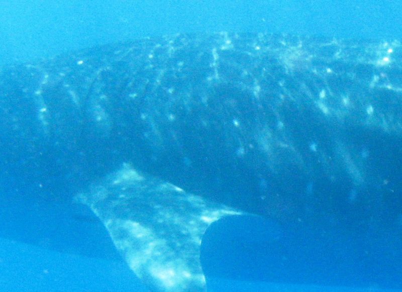 f0976835-cd14-4fe0-9ab4-fe1e23198e1d