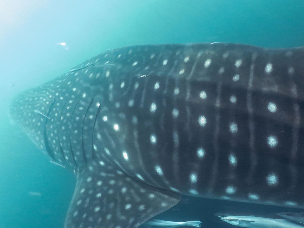 28df0d06-5c16-4389-8c1d-c725082796f0