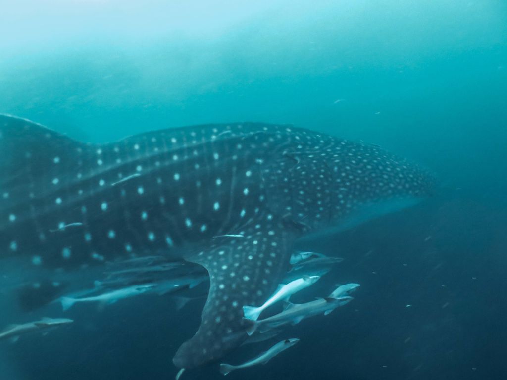 28df0d06-5c16-4389-8c1d-c725082796f0