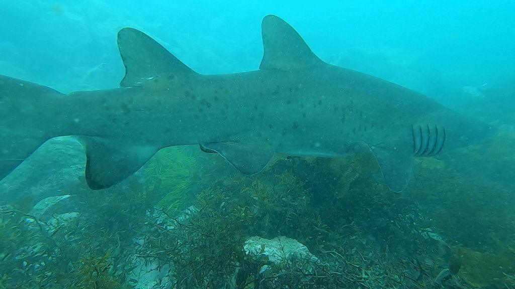 6fabf199-4d0f-4edd-bb9d-99376e14cf62