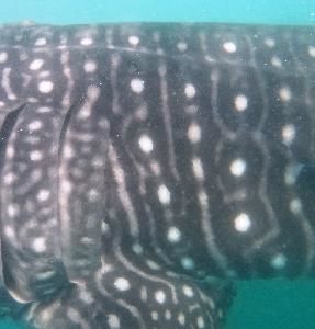 79cfad13-f19a-4cbc-8fb8-df097501d124