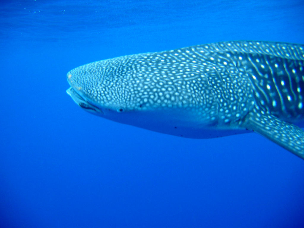 48af4dc6-2c0a-4662-b19c-b5fe7e10e11e