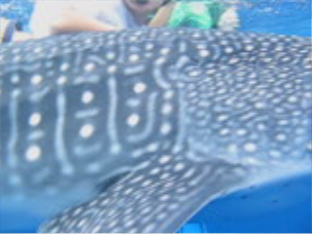 48af4dc6-2c0a-4662-b19c-b5fe7e10e11e