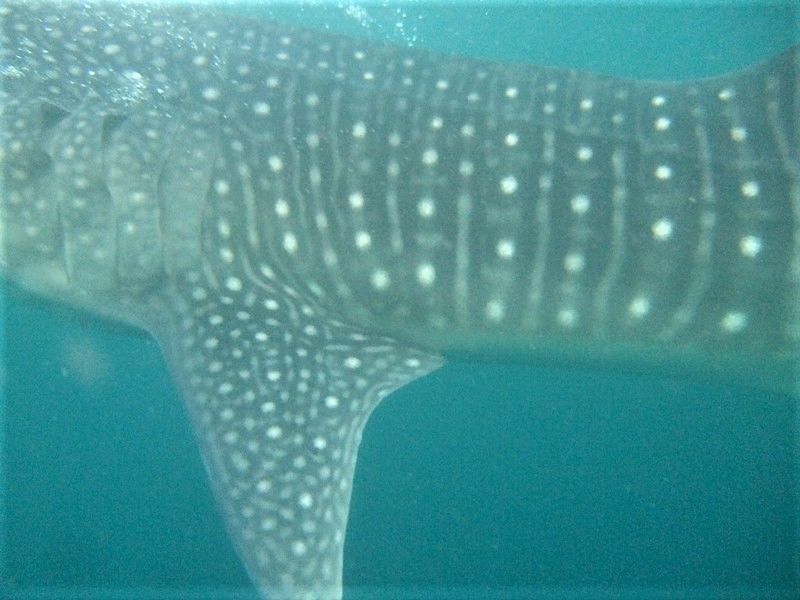 b84961a2-25e3-47b5-b3ec-10bb0e60cc08