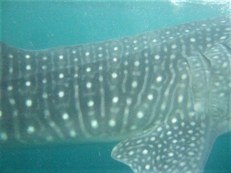 b84961a2-25e3-47b5-b3ec-10bb0e60cc08