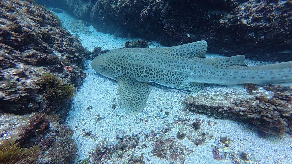 973c1ba7-9036-4f02-bc27-4b753aa290b0