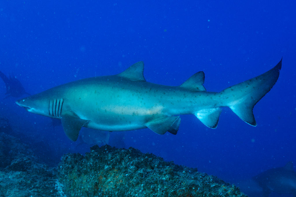 d5005d94-1457-4b69-b59a-26e685e14ca7