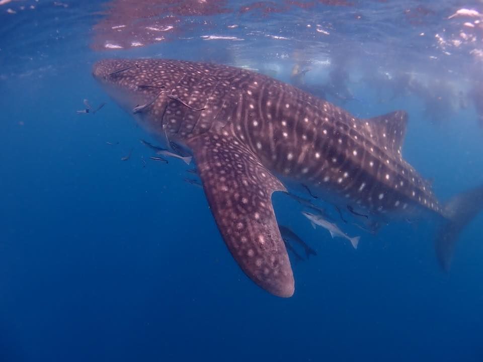 adaa929e-23ad-4a1d-90a0-bdfea64dd760