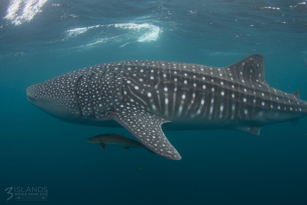 363e499d-0b3c-4c0b-bc2d-70bbe7e17b64